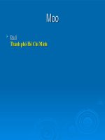 Nguyễn Thị Thu Hiền-TH Sơn Phú- Thành Phố Hồ Chí Minh