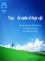 Giáo án điện tử SLTV