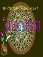 rung chuông vàng P2