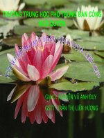 bài 33: axit sunfuric. muoi sunfat