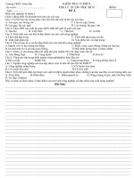 đề kiểm tra 15 phút đề A địa 10