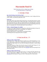 Thiết kế: Macromedia Flash