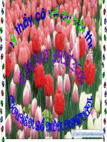 CHUYÊN ĐỀ NGỮ VĂN 9