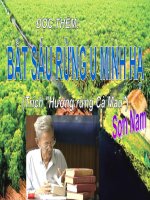 Bắt sấu rừng U Minh Hạ -vominhnhut