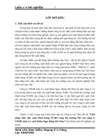 Giải pháp thúc đẩy xuất khẩu hàng TCMN sang thị trường Mỹ của công ty TNHH mây tre xuất khẩu Ngọc Động Hà Nam