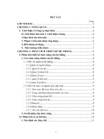 PHÂN TÍCH THIẾT KẾ HỆ THỐNG QUẢN TRỊ NỘI BỘ DOANH NGHIỆP