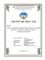 NÂNG CAO HIỆU QUẢ KINH DOANH XUẤT KHẨU SẢN PHẨM DỆT MAY CỦA CÔNG TY TNHH SẢN XUẤT VÀ  THƯƠNG MẠI ĐỨC HỢP