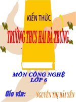 Bài 17. Bảo quản chất dinh dưỡng trong chế biên món ăn (II )