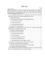 Kế toán lưu chuyển hàng hóa và xác định kết quả tiêu thụ hàng hóa tại công ty cổ phần Đại Sơn