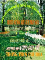 Hai tam giác bằng nhau ( giáo án thi huyện)