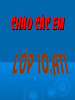 Thổ nhưỡng quyển