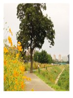 Quan hệ giữa góc và cạnh đối diện trong tam giác