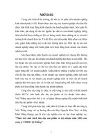 Phân tích tình hình tiêu thụ sản phẩm và lợi nhuận năm 2006 của công ty TNHH Việt Thắng