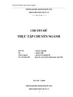 Hoàn thiện chiến lược xuất khẩu của công ty  cổ phần may 10 trong giai đoạn 2006 - 2010