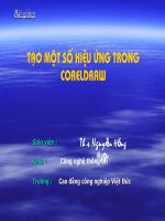 Tạo hiệu ứng với Coreldraw
