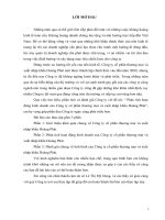 Phân tích hoạt động kinh doanh của Công ty cổ phần thương mại và xuất nhập khẩu Hoàng Phát