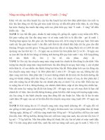 Nâng cao năng suất lúa bằng quy luật