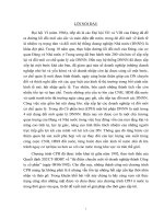 DOANH NGHIỆP NHÀ NƯỚC Ở VIỆT NAM   VÀ THỰC TRẠNG CỔ PHẦN HOÁ