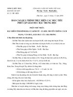 BAO CAO PCAP BAC THOC NAM 2008