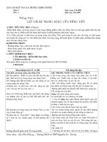 giu gin su trong sang cua tieng Viet