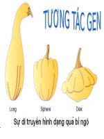 tương tác gen