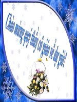 Luyện tập (Tiết 19 - Toán 7)