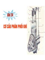 Bai 24. Co cau phan phoi khi