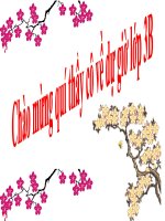 TỰ NHIÊN XÃ HỘI 3