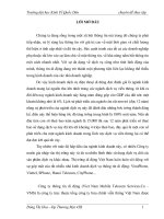 “Hoàn thiện chính sách phát triển kênh phân phối của công ty thông tin di động VMS” 