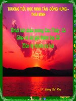 Khả năng kỳ diệu của lá cây