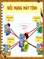 Nối mạng máy tính