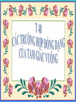 Trường Hợp Đồng dạng của hai tam giác Vuông