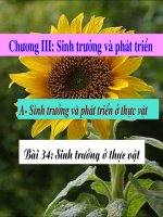 Bài 34: Sinh trưởng ở thực vật (11 NC)