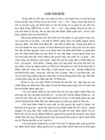  TỔ CHỨC VÀ HOẠT ĐỘNG TRONG VIỆC GIẢI QUYẾT THỦ TỤC HÀNH CHÍNH CỦA PHƯỜNG THỜI GIAN QUA