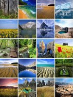 BÀi 39 tiết 41 lớp 11 sinh học cb