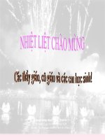 Luyện tập vận dụng tổng hợp các TTLL PT và SS