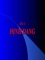 Định dạng trong Excel