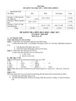 DE THI HỌC KI I MON HOA 8