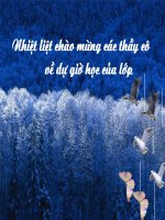 tiết46.Tr­­ường hợp đồng dạng thứ ba