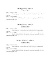 Đề kiểm tra Ngữ văn 11