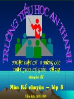 Tieng vi cam o My lai