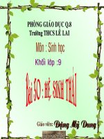 Bài 50: Hệ sinh thái