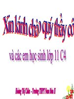 BAI 38 CÁC NHÂN TỐ AH ĐẾN ST - PT Ở ĐỘNG VẬT ( CB)- DÁNH GIÁ CAO THI GVG TỈNH NĂM 2009