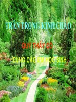 Bài 22 : Tác dụng của dòng điện - Từ trường