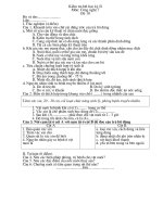 Kiểm tra học kỳ II _ Đề 10