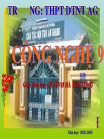 bai 29 LAP DAT DAY DAN TRONG NHA