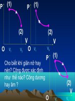Bài: Động cơ nhiệt