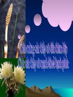 Vận chuyển các chất qua màng sinh chất