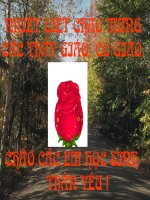 Bài 25: Quang Trung đại phá quân Thanh