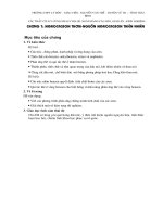 giáo án 11 nâng cao - chương 7